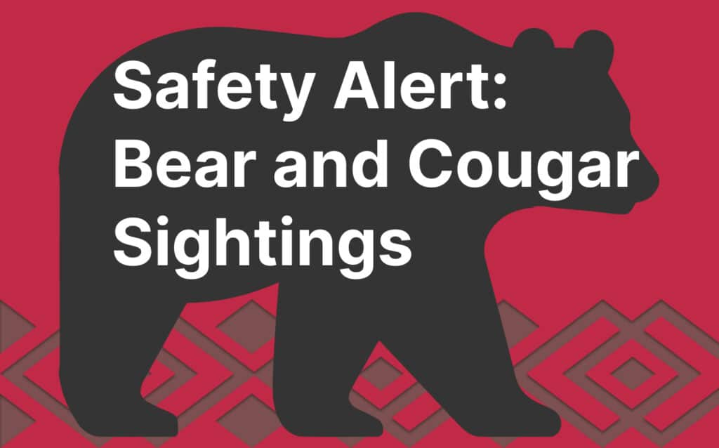 Safety Alert: Bear and Cougar Sightings